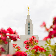 Load image into Gallery viewer, Made Whole Again Draper Temple
