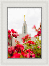 Load image into Gallery viewer, Made Whole Again Draper Temple
