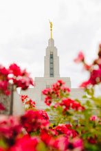 Load image into Gallery viewer, Made Whole Again Draper Temple
