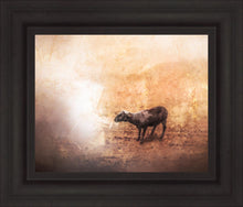 Load image into Gallery viewer, The One

