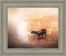 Load image into Gallery viewer, The One
