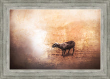 Load image into Gallery viewer, The One
