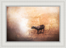 Load image into Gallery viewer, The One

