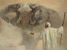 Load image into Gallery viewer, Noah
