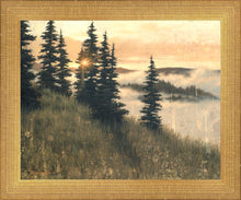 Load image into Gallery viewer, A Moment of Grace
