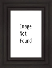 Load image into Gallery viewer, Denver Temple 03
