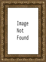 Load image into Gallery viewer, Denver Temple 03
