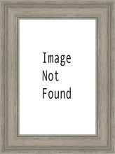 Load image into Gallery viewer, Denver Temple 03
