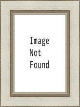 Load image into Gallery viewer, Denver Temple 03
