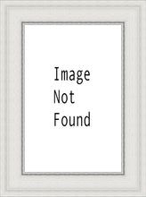 Load image into Gallery viewer, Denver Temple 03
