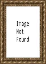 Load image into Gallery viewer, Denver Temple 03
