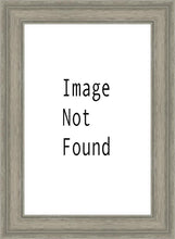 Load image into Gallery viewer, Denver Temple 03
