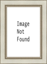 Load image into Gallery viewer, Denver Temple 03
