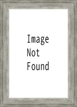 Load image into Gallery viewer, Denver Temple 03
