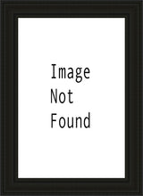 Load image into Gallery viewer, Denver Temple 03
