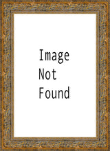 Load image into Gallery viewer, Denver Temple 03
