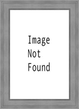 Load image into Gallery viewer, Denver Temple 03

