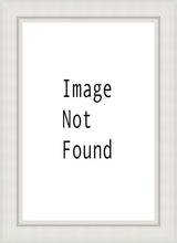 Load image into Gallery viewer, Denver Temple 03
