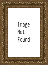Load image into Gallery viewer, Solitude
