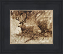 Load image into Gallery viewer, Bedded Buck
