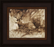 Load image into Gallery viewer, Bedded Buck
