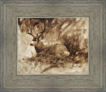 Load image into Gallery viewer, Bedded Buck
