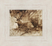 Load image into Gallery viewer, Bedded Buck
