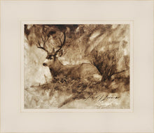 Load image into Gallery viewer, Bedded Buck
