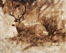 Load image into Gallery viewer, Bedded Buck
