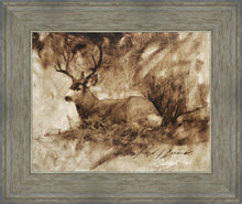 Load image into Gallery viewer, Bedded Buck
