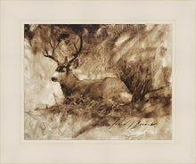Load image into Gallery viewer, Bedded Buck
