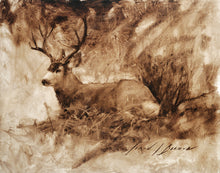 Load image into Gallery viewer, Bedded Buck
