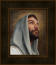 Load image into Gallery viewer, Looking Up
