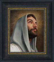 Load image into Gallery viewer, Looking Up
