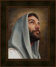 Load image into Gallery viewer, Looking Up
