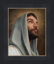Load image into Gallery viewer, Looking Up
