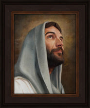 Load image into Gallery viewer, Looking Up
