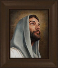 Load image into Gallery viewer, Looking Up
