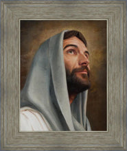 Load image into Gallery viewer, Looking Up
