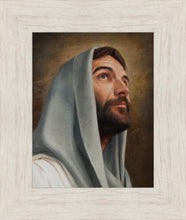 Load image into Gallery viewer, Looking Up
