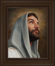 Load image into Gallery viewer, Looking Up
