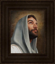 Load image into Gallery viewer, Looking Up
