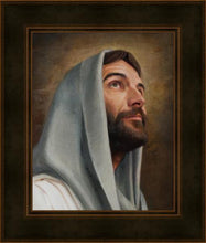 Load image into Gallery viewer, Looking Up
