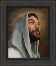 Load image into Gallery viewer, Looking Up
