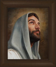 Load image into Gallery viewer, Looking Up
