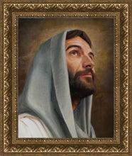 Load image into Gallery viewer, Looking Up
