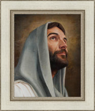 Load image into Gallery viewer, Looking Up
