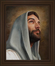 Load image into Gallery viewer, Looking Up
