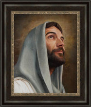 Load image into Gallery viewer, Looking Up
