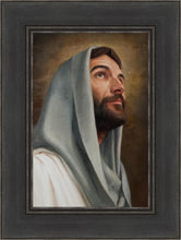 Load image into Gallery viewer, Looking Up
